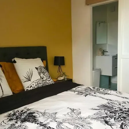 Le Petit St-jean Apartamento Bagnères-de-Bigorre